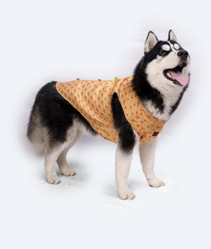 Pawgy Pets Sherwani Golden for Dogs