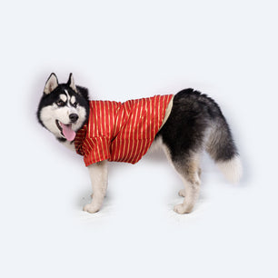 Pawgy Pets Red Gota Shirt for Dogs