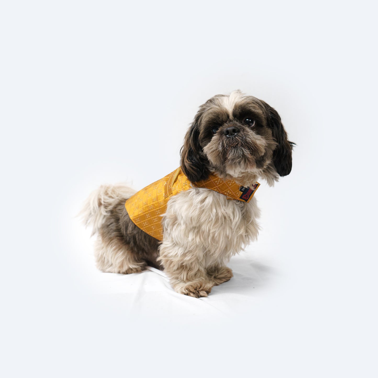Mustard Strappy Sherwani | For Dogs | Pawgy Pets