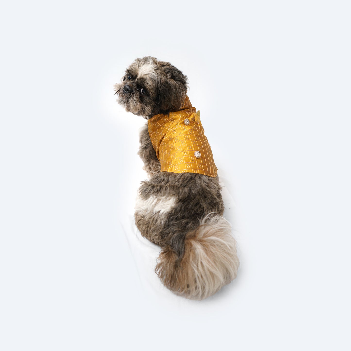 Mustard Strappy Sherwani | For Dogs | Pawgy Pets