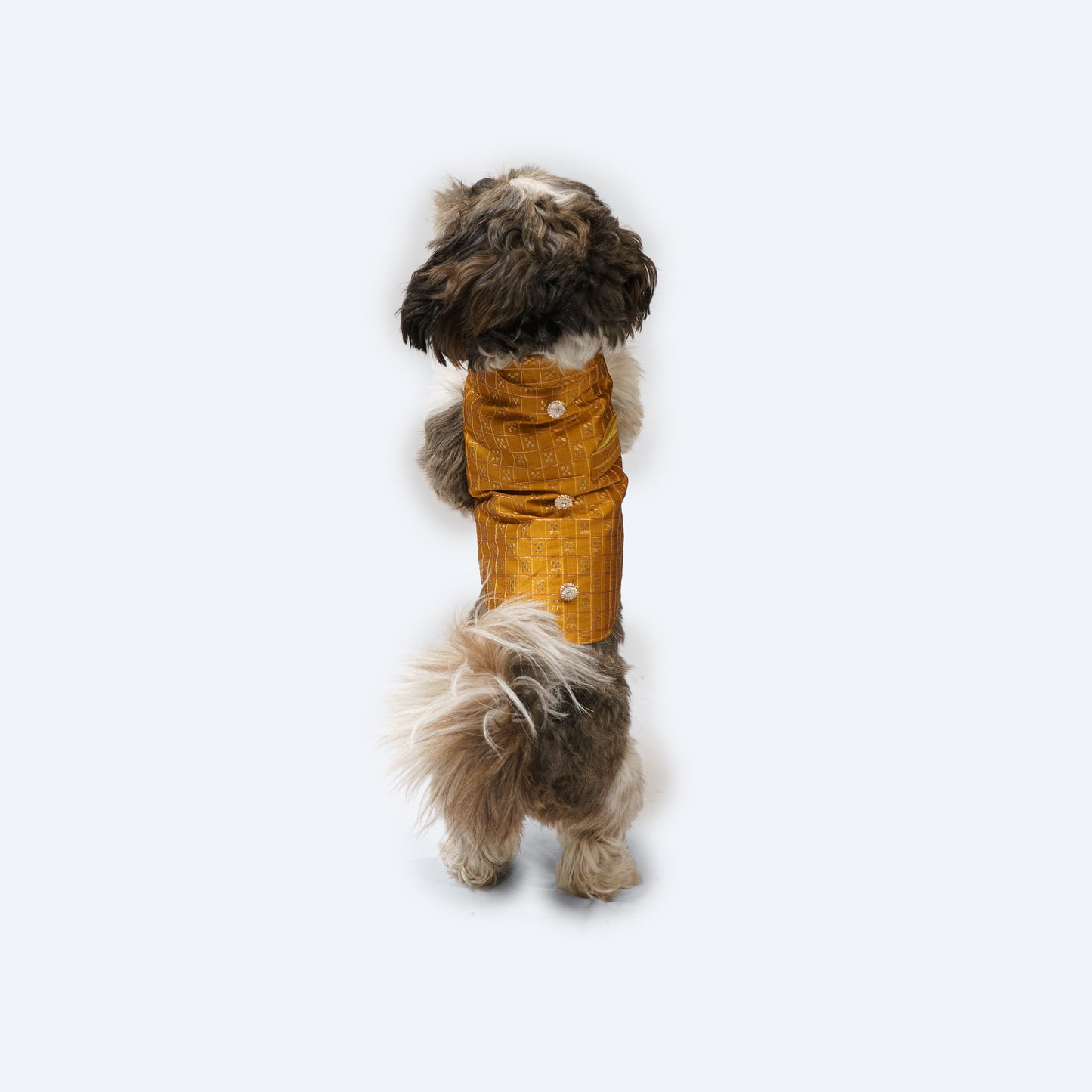 Mustard Strappy Sherwani | For Dogs | Pawgy Pets