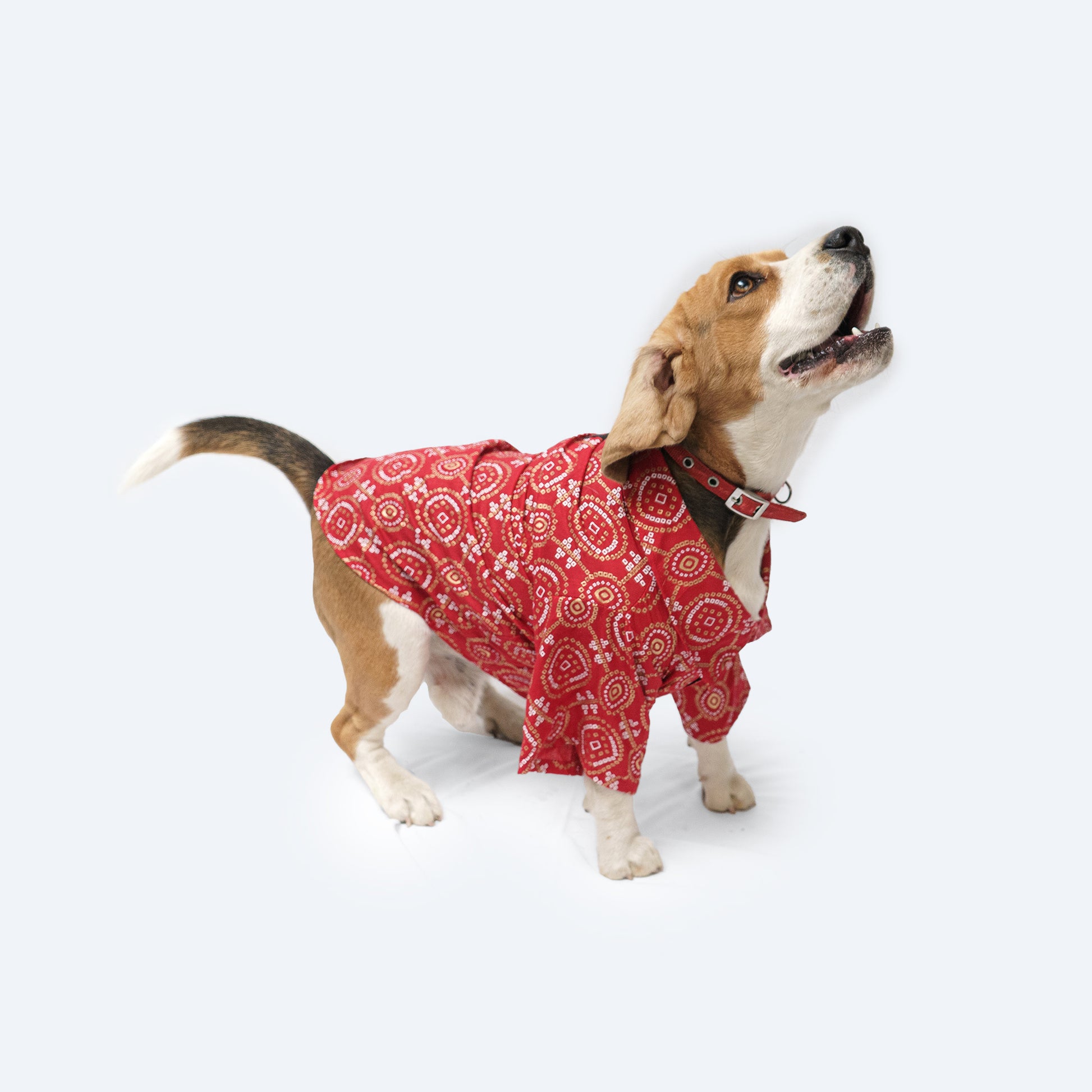 Pawgy Pets Bandhej Shirt: Red for Dogs