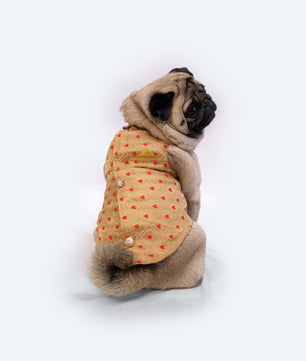 Pawgy Pets Sherwani Golden for Dogs