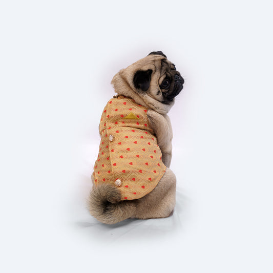 Pawgy Pets Sherwani Golden for Dogs