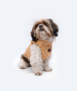 Pawgy Pets Sherwani Golden for Dogs
