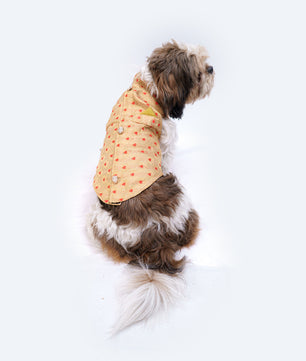 Pawgy Pets Sherwani Golden for Dogs
