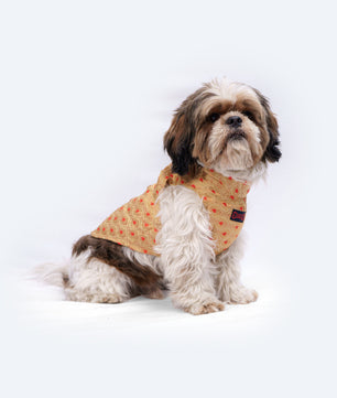 Pawgy Pets Sherwani Golden for Dogs