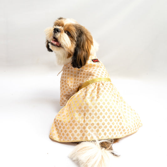 Pawgy Pets Occasion wear Dress White for Dogs