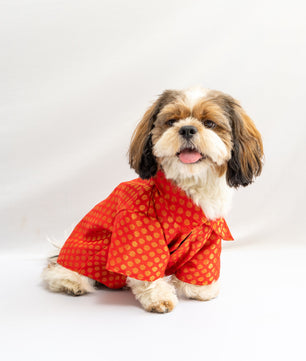 Occasion wear shirt Red