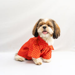 Pawgy Pets Occasion Wear Shirt: Red for Dogs