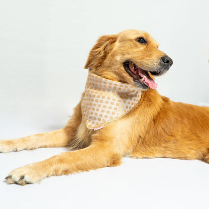Pawgy Pets Occasion wear bandana White for Dogs & Cats