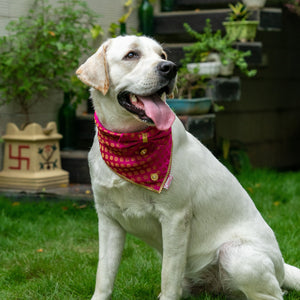 Pink Occasion Wear Bow Bandana | For Dogs & Cats | Pawgy Pets