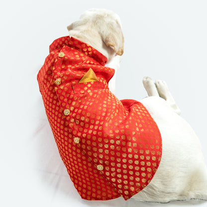 Red Sherwani | For Dogs | Pawgy Pets