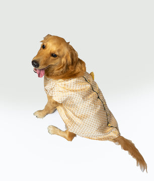 Pawgy Pets Sherwani White for Dogs