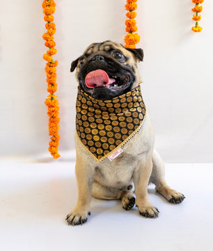 Pawgy Pets Occasion wear bandana Black for Dogs & Cats