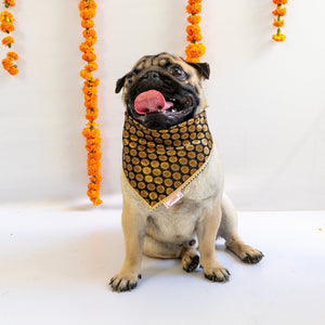 Black Occasion Wear Bandana | For Dogs & Cats | Pawgy Pets