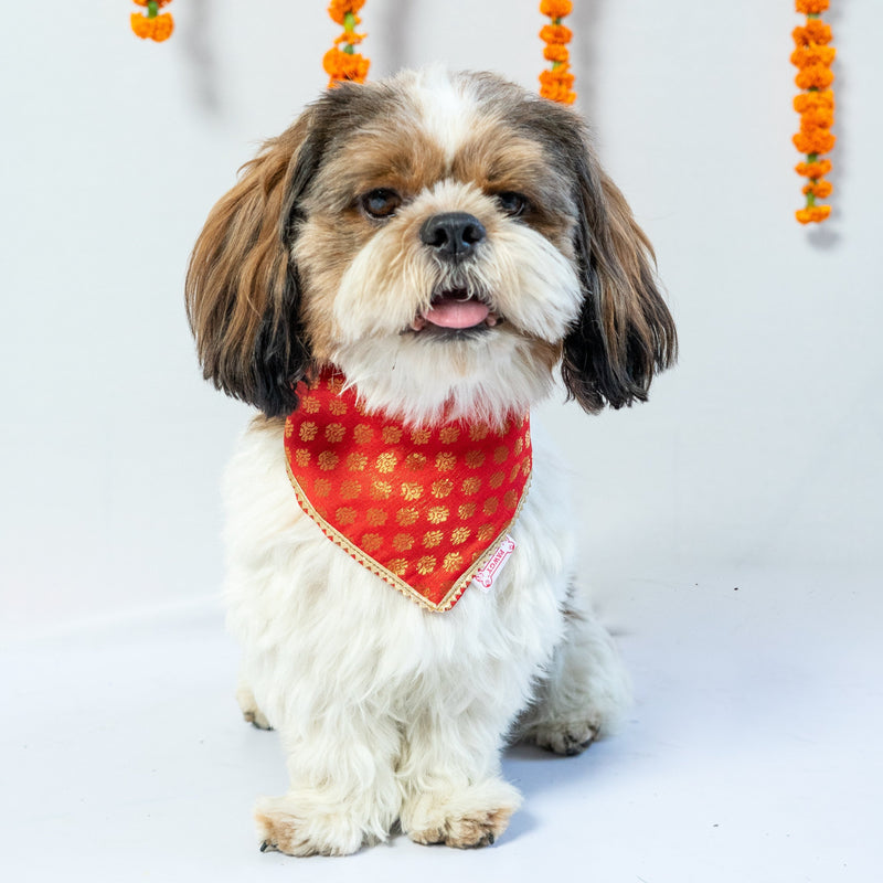 Red Occasion Wear Bandana | For Dogs & Cats | Pawgy Pets
