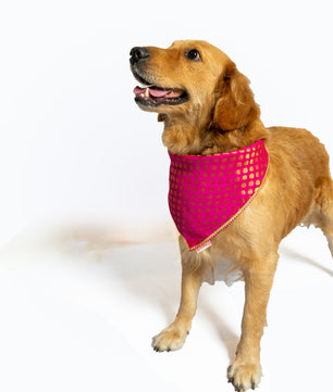 Pawgy Pets Occasion wear bandana Pink for Dogs & Cats