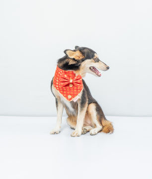 Pawgy Pets Occasion wear Bow Bandana Red for Dogs & Cats