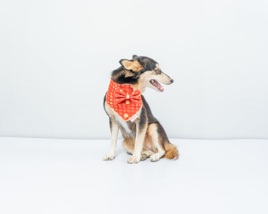 Pawgy Pets Occasion wear Bow Bandana Red for Dogs & Cats
