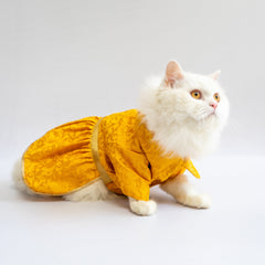 Pawgy Pets Occasion wear Dress Yellow for Dogs