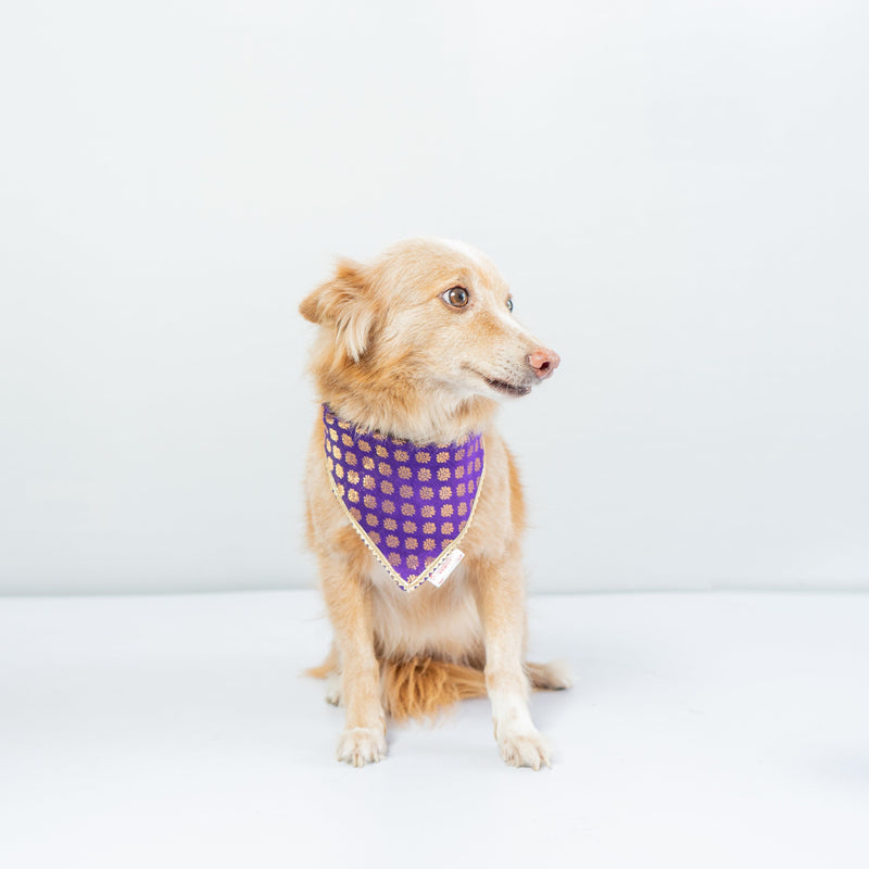 Purple Occasion Wear Bandana | For Dogs & Cats | Pawgy Pets