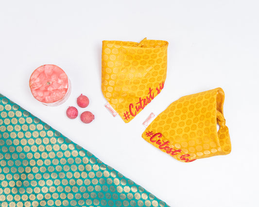 Pawgy Pets Personalised Occasion wear Bandana for Dogs & Cats