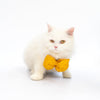 Yellow Occasion Wear Bowtie | For Dogs & Cats | Pawgy Pets
