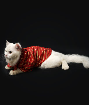 Pawgy Pets Red Gota Shirt for Dogs