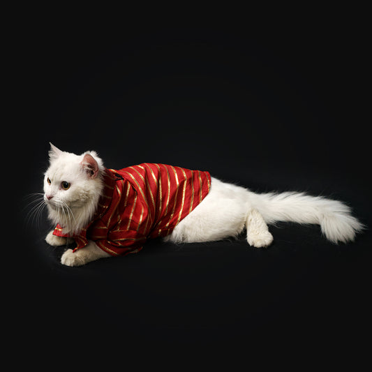 Pawgy Pets Red Gota Shirt for Dogs