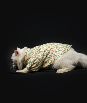 Pawgy Pets Heritage Summer Kurta (Off white with orange) for Dogs