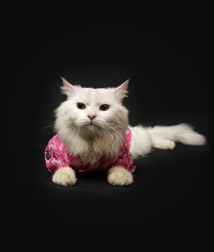 Pawgy Pets Heritage Hand Block Kurta Pink for Dogs