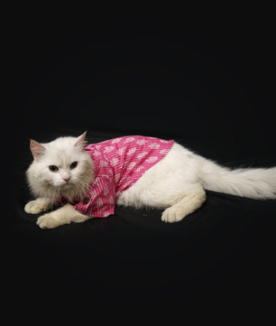 Pawgy Pets Heritage Hand Block Kurta Pink for Dogs