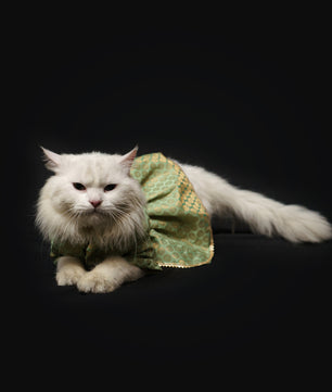 Pawgy Pets Occasion wear Dress Pista Green for Dogs