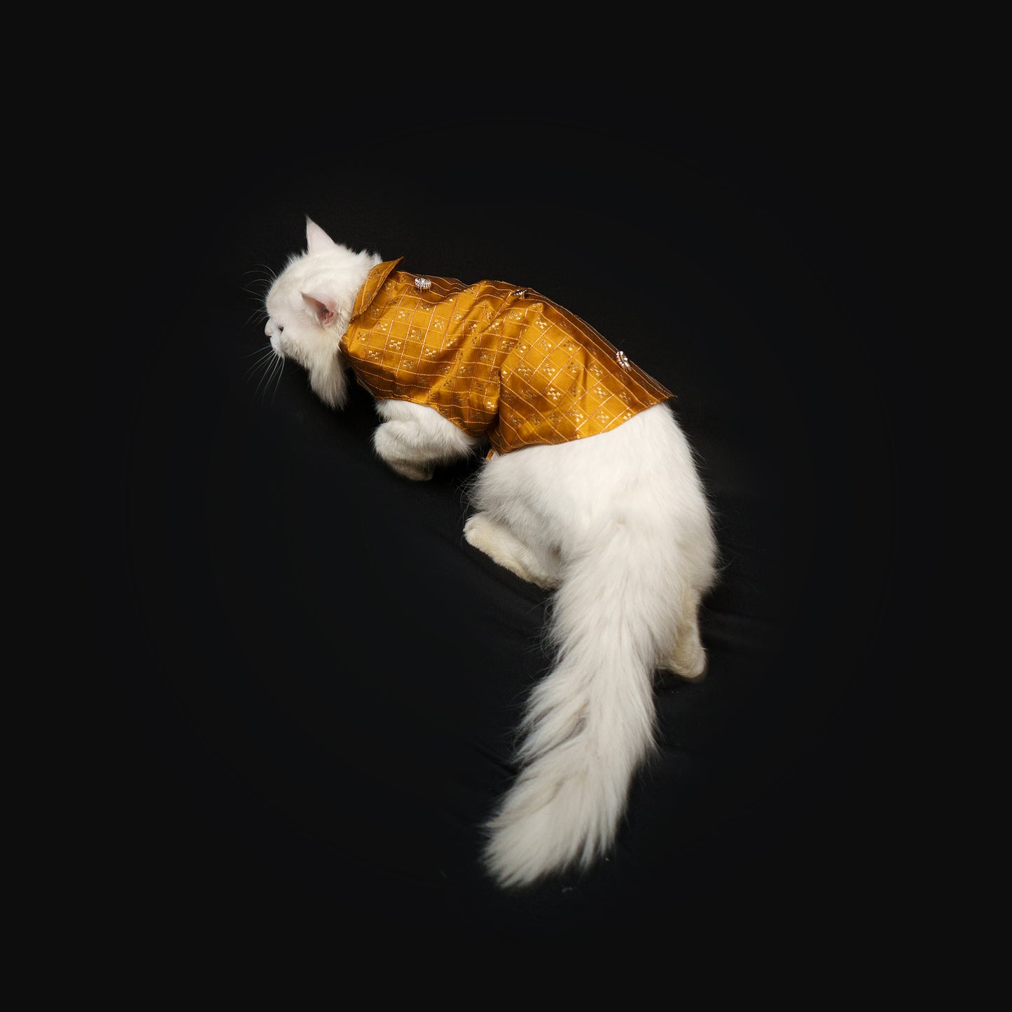 Mustard Strappy Sherwani | For Dogs | Pawgy Pets