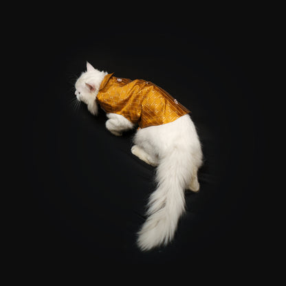 Mustard Strappy Sherwani | For Dogs | Pawgy Pets
