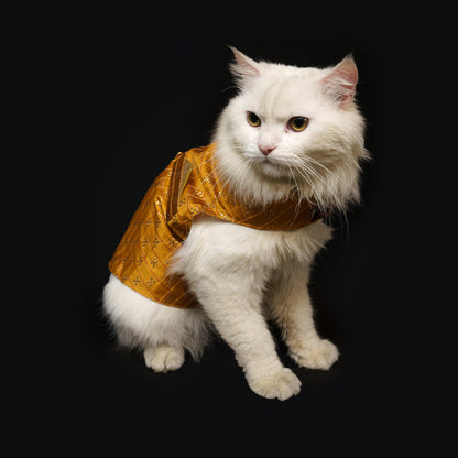 Mustard Strappy Sherwani | For Dogs | Pawgy Pets