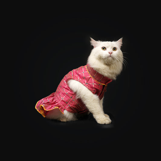 Pawgy Pets Formal Pink Check Ruffle Dress for Dogs