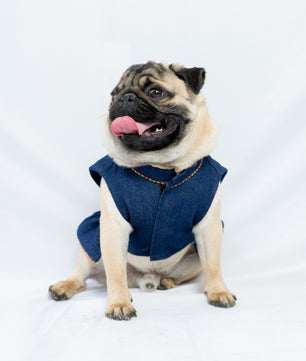 Pawgy Pets Denim Ruffle Dress for Dogs