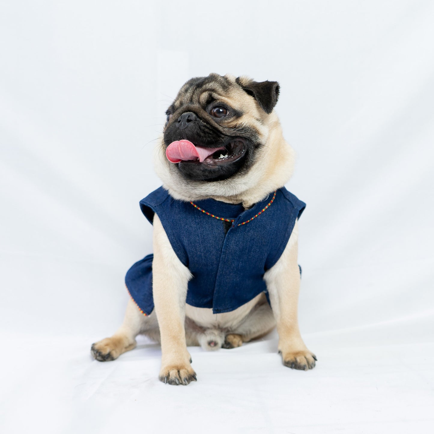 Pawgy Pets Denim Ruffle Dress for Dogs