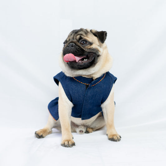 Pawgy Pets Denim Ruffle Dress for Dogs