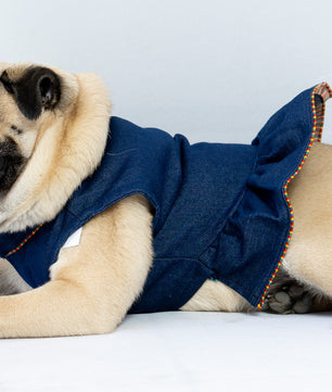 Pawgy Pets Denim Ruffle Dress for Dogs