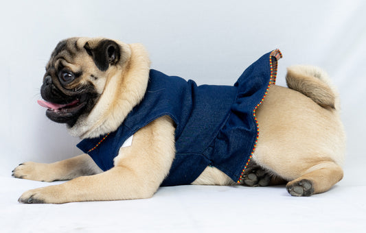 Pawgy Pets Denim Ruffle Dress for Dogs