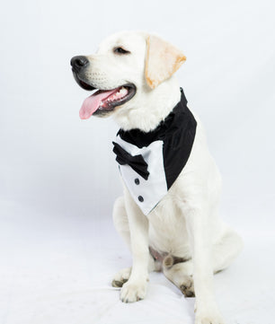 Pawgy Pets Tuxedo Bandana: Black for Dogs & Cats
