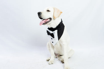 Pawgy Pets Tuxedo Bandana: Black for Dogs & Cats