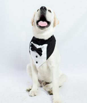 Pawgy Pets Tuxedo Bandana: Black for Dogs & Cats