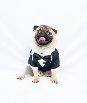 Pawgy Pets Tuxedo: Black for Dogs & Cats
