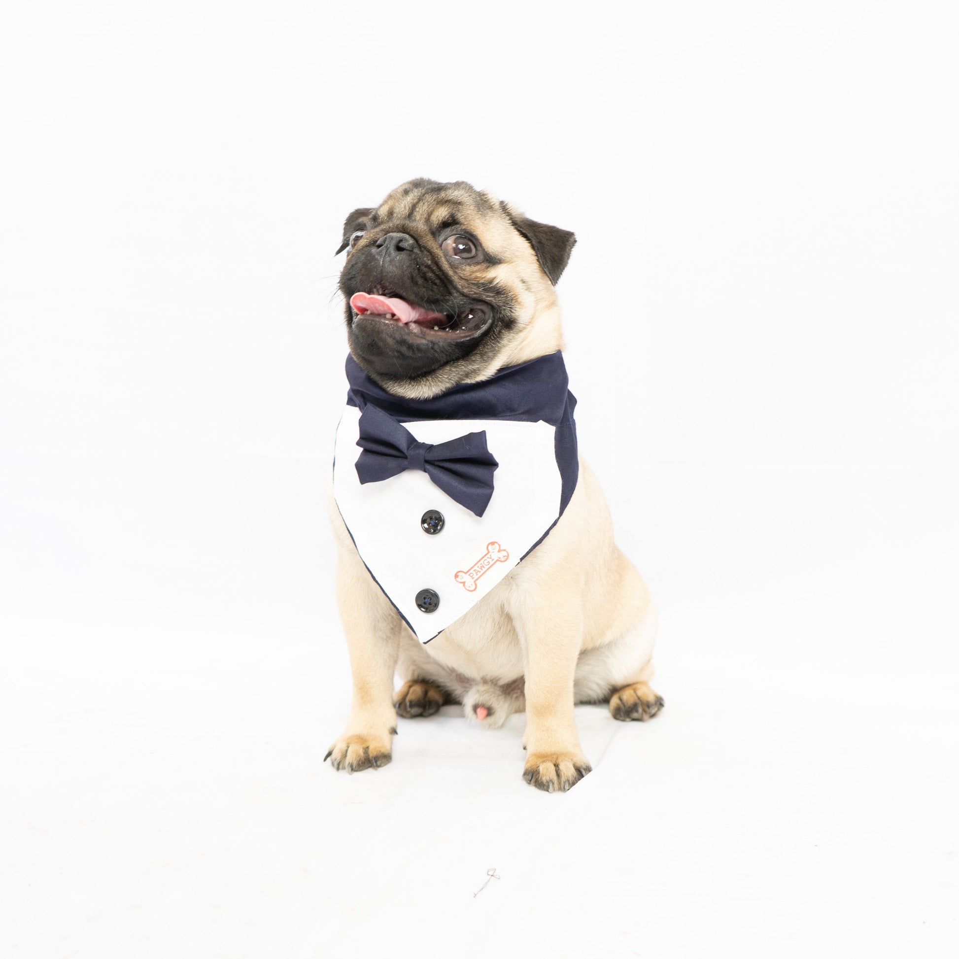 Pawgy Pets Tuxedo Bandana: Navy Blue for Dogs & Cats