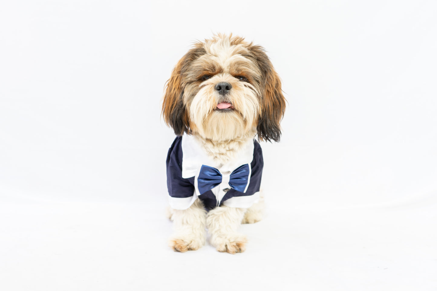 Pawgy Pets Personalised Tuxedo for Dogs & Cats