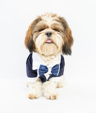 Pawgy Pets Tuxedo: Navy Blue for Dogs & Cats